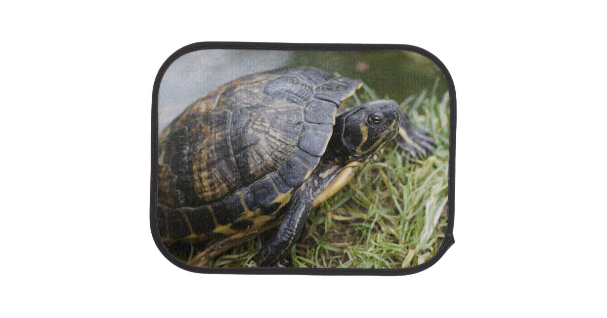 Water Turtle Car Floor Mat Zazzle