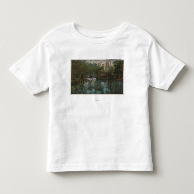 Water View of Tomoka River & Marsh, Florida Toddler T-shirt (Front)