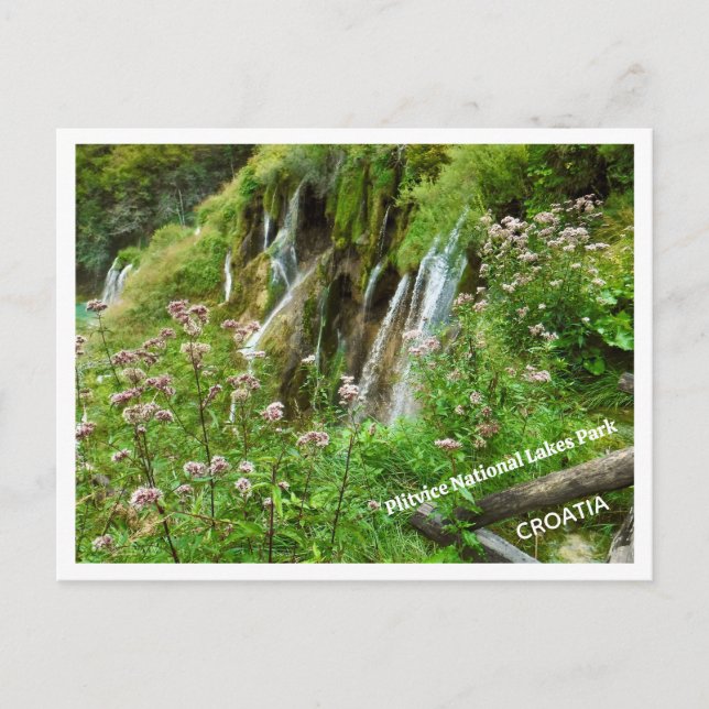 WATER, WATER EVERYWHERE/PLITVICE LAKES NATIONAL PA POSTCARD (Front)