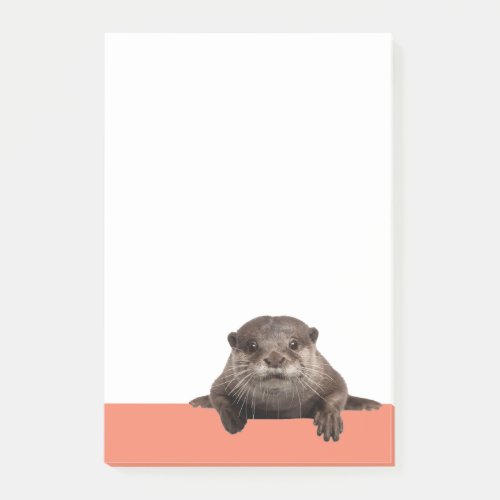 Water Weasels _ Cute Otter Post_it Notes