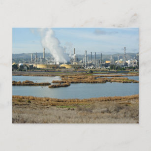 Waterbird Regional Park and Shell Refinery Postcard