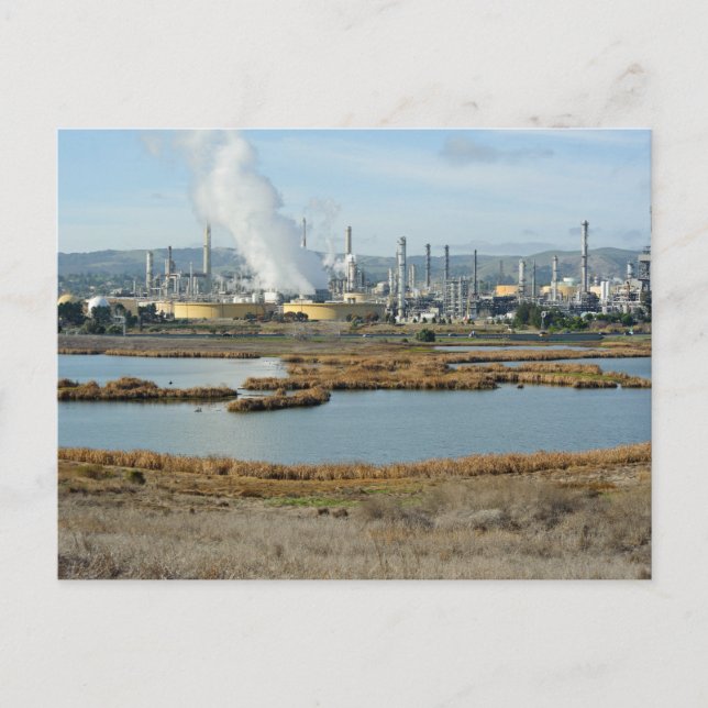 Waterbird Regional Park and Shell Refinery Postcard (Front)
