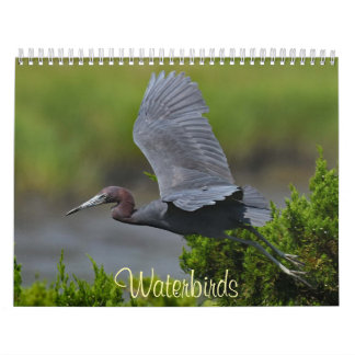 Waterbirds 4 calendar