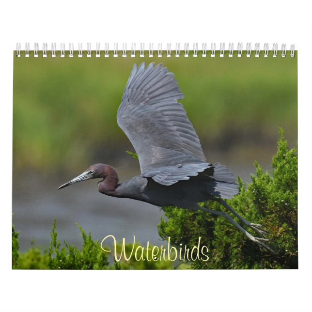 Waterbirds 4 calendar (Cover)