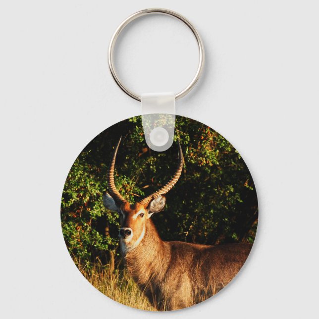 Waterbuck - safari animals keyrings (Front)