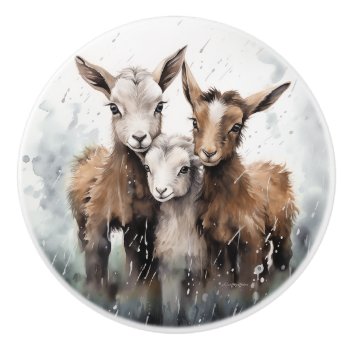 Watercolor 3 Baby Goats In The Rain  Ceramic Knob by getyergoat at Zazzle