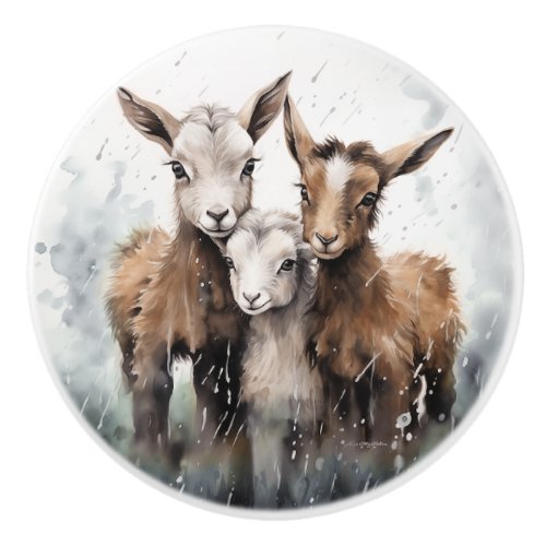 Watercolor 3 Baby Goats in the Rain  Ceramic Knob
