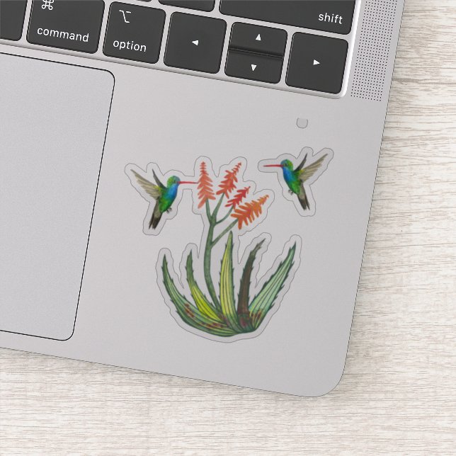 Watercolor Aloe Vera Succulent Hummingbirds Blooms Sticker (Detail)