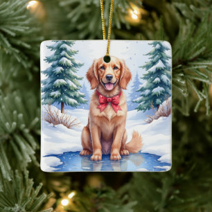 Watercolor American Water Spaniel Frozen Pond Ceramic Ornament