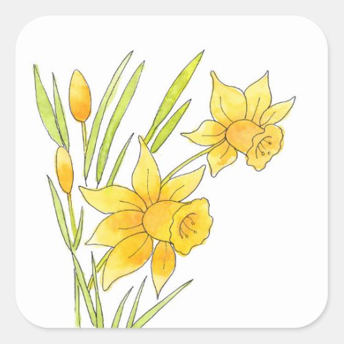 Watercolor and Pen Daffodils Square Sticker