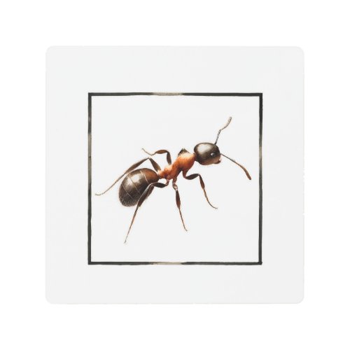 Watercolor Ant AREF292 _ Watercolor Metal Print