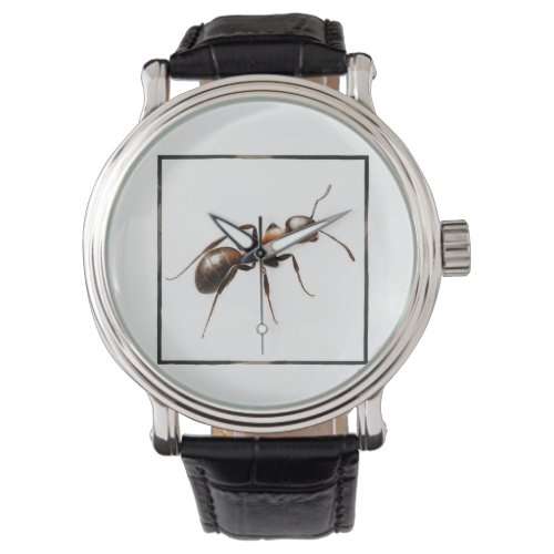 Watercolor Ant AREF292 _ Watercolor Watch