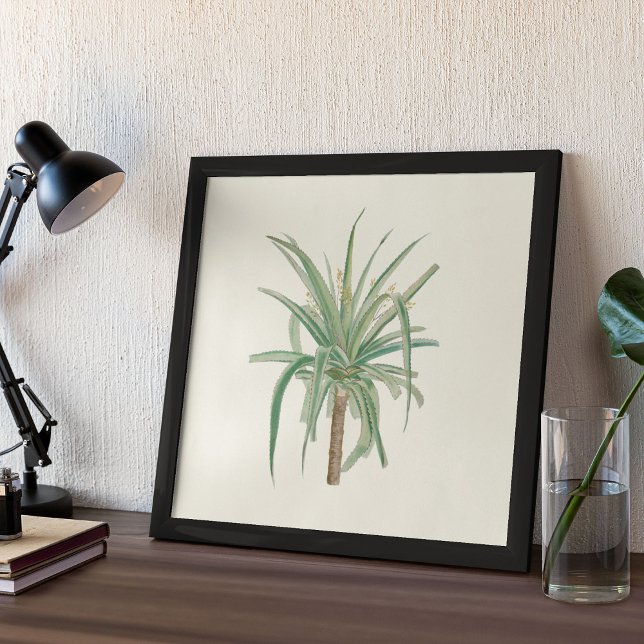Watercolor Antique Botanical Print Poster (Watercolor Antique Botanical Cactus Print Poster)