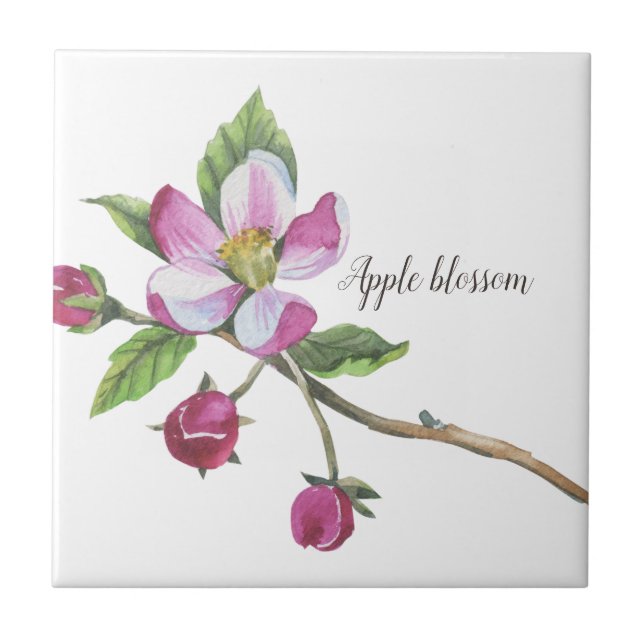 Watercolor Apple Blossom Botanical Ceramic Tile (Front)
