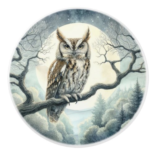 Watercolor Art Screech Owl Ceramic Knob