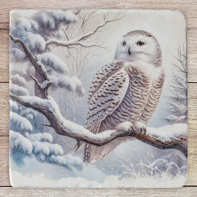 Watercolor Art Snow Owl Trivet (Creator Uploaded)