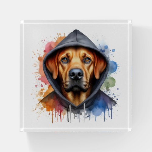 Watercolor Artwork Brown Dog in a Hoodie Splatter Paperweight