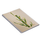 watercolor bamboo notebook