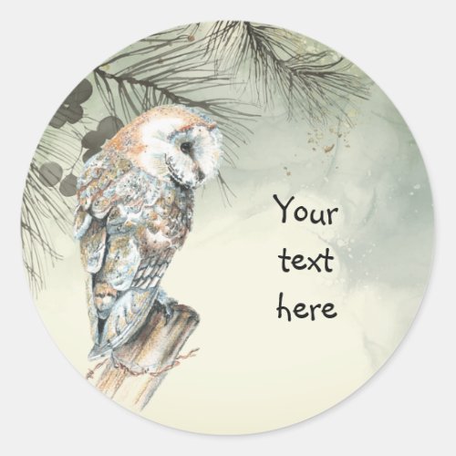 Watercolor Barn Owl Bird art Your Text Classic Round Sticker
