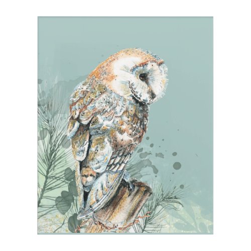  Watercolor Barn Owl Bird Wildlife Nature Art 