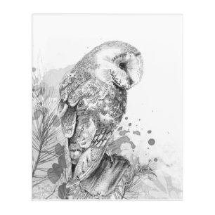 Watercolor Barn Owl Bird Wildlife Nature Art