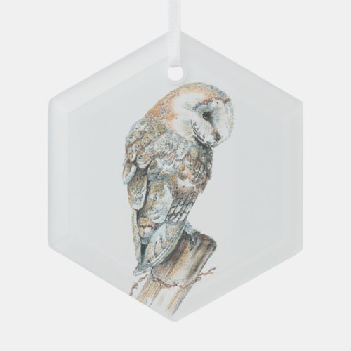 Watercolor Barn Owl Bird Wildlife Nature Art Glass Ornament