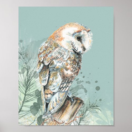  Watercolor Barn Owl Bird Wildlife Nature Art   Poster
