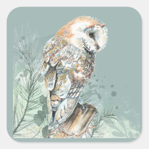  Watercolor Barn Owl Bird Wildlife Nature Art Square Sticker
