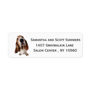 Basset Hound Return Address Labels | Zazzle
