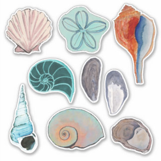 Watercolor Beach Seashells Variety Sticker