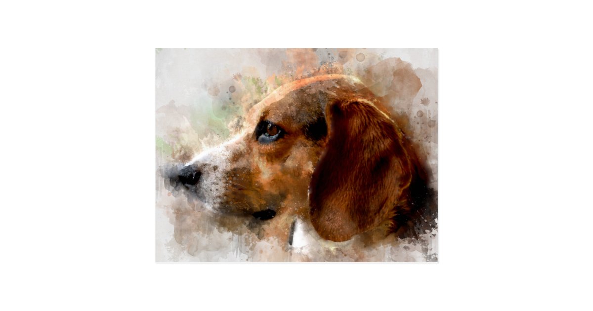 Watercolor Beagle Dog Postcard Zazzle Com