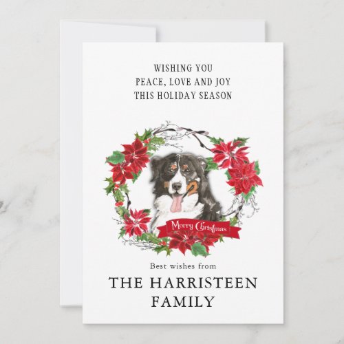 Watercolor Bernese Mountain Dog Poinsettia Wreath Holiday Card