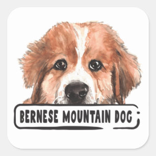 Watercolor Bernese Mountain Dog Square Sticker