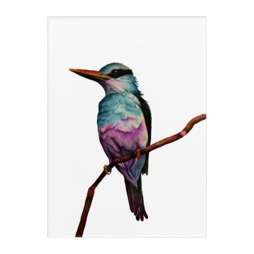 Watercolor Bird Fine Art