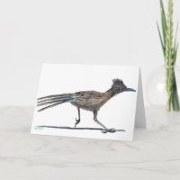 Watercolor bird greeting card: Roadrunner Card