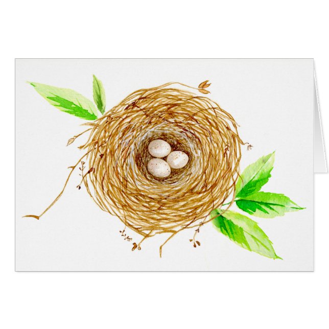 Watercolor Bird Nest with 3 Eggs Cards (Front Horizontal)