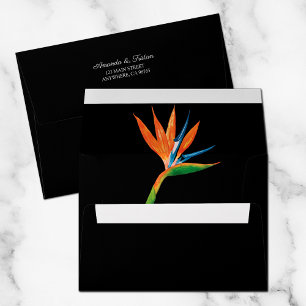 Watercolor Bird of Paradise Black Envelope