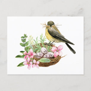 Watercolor Bird on the Nest with Pink Flowers Postcard