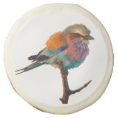 Watercolor Bird Sugar Cookies (Front)