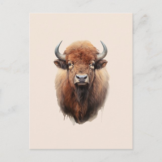 Watercolor Bison Portrait  Postcard (Front)
