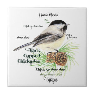 Watercolor Black Capped Chickadee Bird Art Ceramic Tile