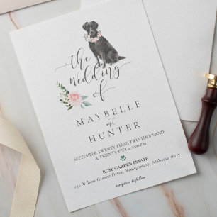 Watercolor Black Labrador Pet & Floral Pink Rose Invitation