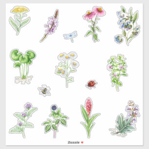 Watercolor Blooming Herbal Plants  Sticker