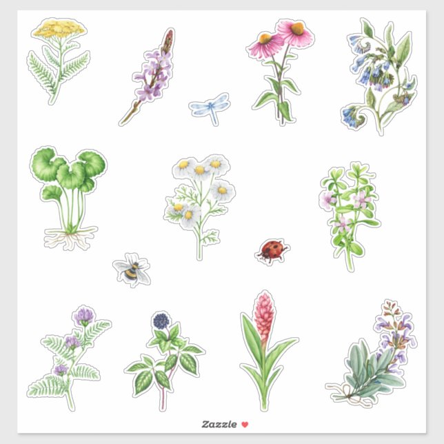 Watercolor Blooming Herbal Plants  Sticker (Sheet)