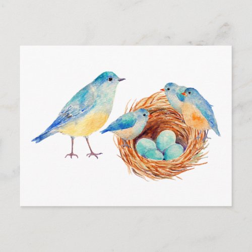 Watercolor Blue Birds and Nest Post Card