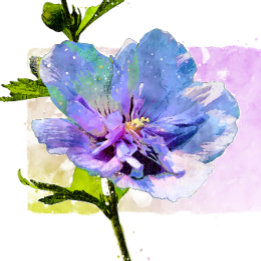 Watercolor Blue Chiffon Rose Oversized Floral Card