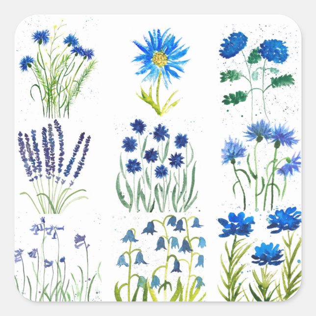 Watercolor Blue Flowers Collection Chic Rustic Square Sticker (Front)