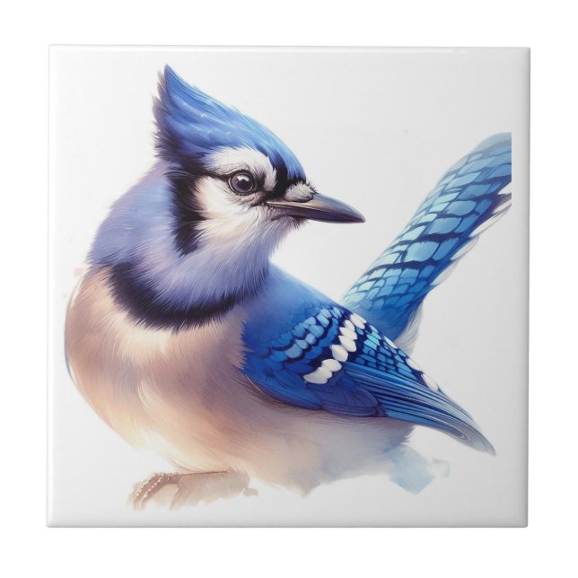Watercolor Blue Jay  Bird Art Ceramic Tile (Front)