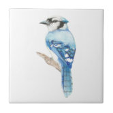 Premium Photo  Blue jay in pink poppy flowers watercolor