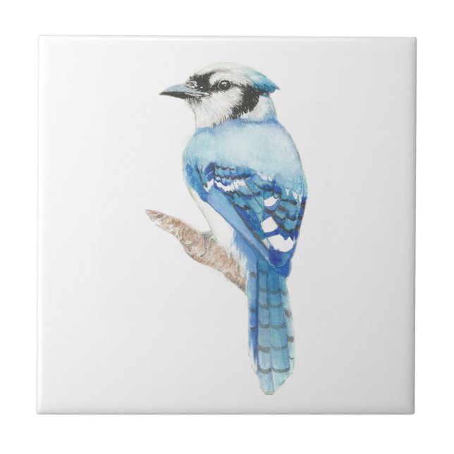 Watercolor Blue Jay  Bird Art Tile (Front)